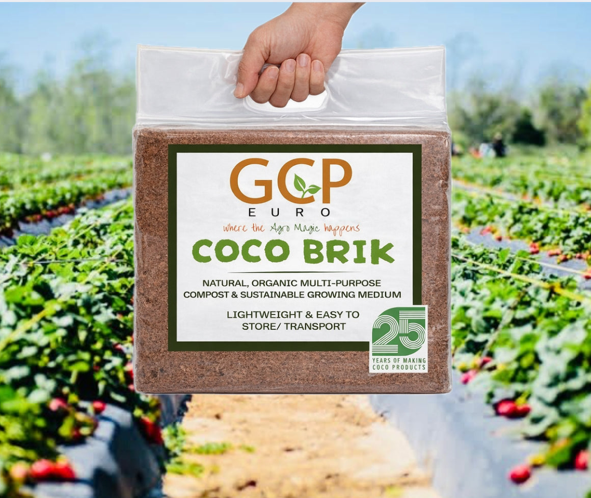 5kg blocks, 100% chips