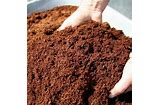 coco peat